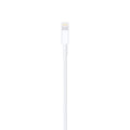 Cable Original iPhone iPad Lightning a USB 2 metros - Compro Apple