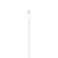 Cable Original iPhone iPad Lightning a USB 2 metros - Compro Apple