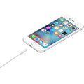 Cable Original iPhone iPad Lightning a USB 1 metro
