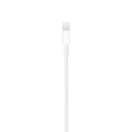 Cable Original iPhone iPad Lightning a USB 2 metros