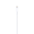 Cable Original iPhone iPad Lightning a USB 2 metros